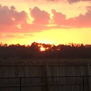 Meet your Posher, Candy